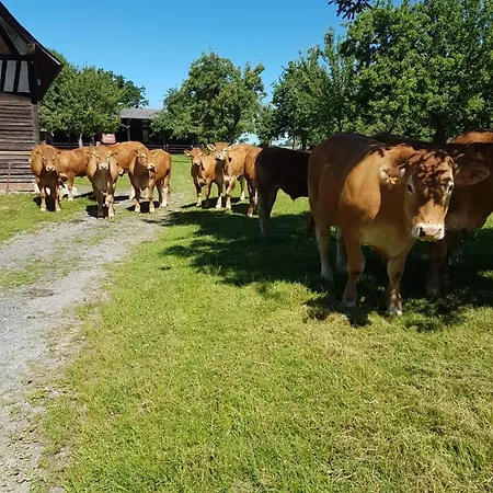 Gite Le Colombier De La Lanterne